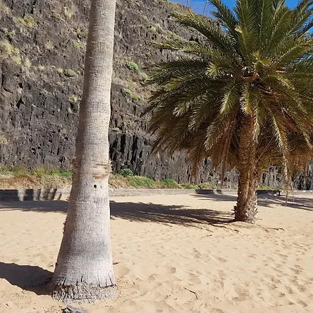 게스트하우스 Casa Tortuga 산타크루스데 테네리페