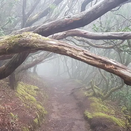 게스트하우스 Casa Tortuga *