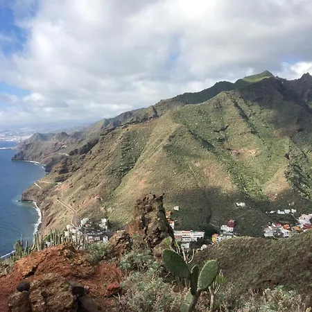 Casa Tortuga 게스트하우스 *