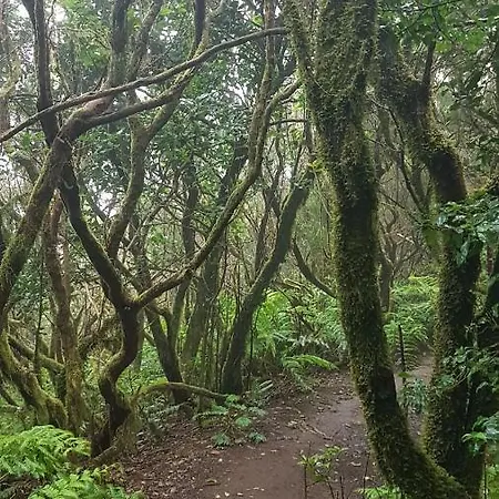Casa Tortuga 게스트하우스 산타크루스데 테네리페